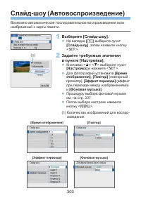 Страница 303