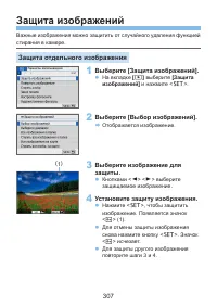 Страница 307