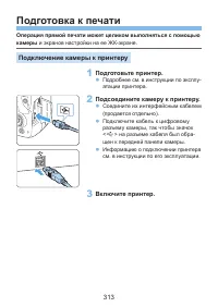 Страница 313