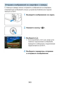 Страница 363