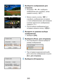 Страница 365