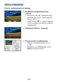 Страница 383