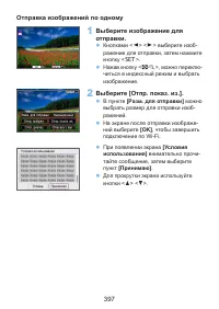 Страница 397