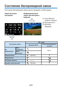 Страница 443