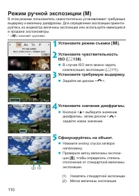 Страница 110