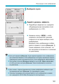 Страница 161