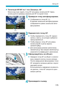 Страница 175