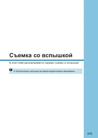 Страница 243