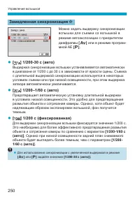 Страница 250