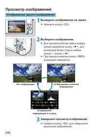 Страница 256