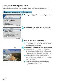 Страница 272