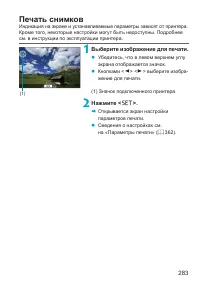 Страница 283