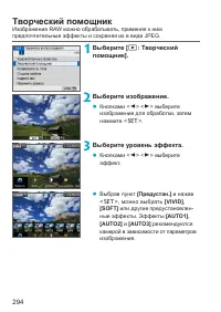 Страница 294