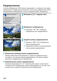 Страница 300