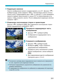 Страница 301