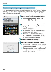 Страница 304