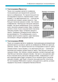 Страница 313