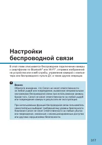 Страница 317