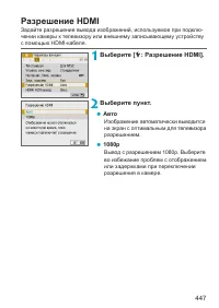 Страница 447