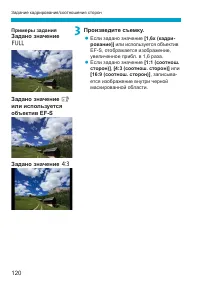 Страница 120