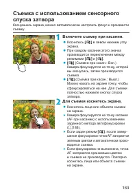 Страница 163