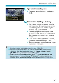 Страница 267