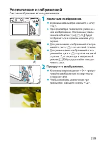 Страница 299