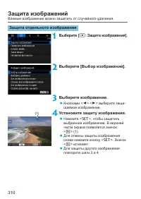 Страница 310