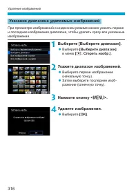 Страница 316