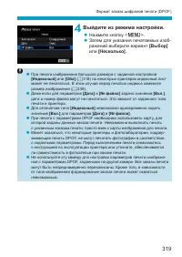 Страница 319