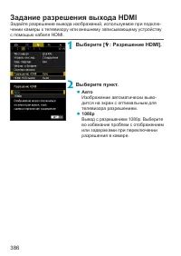 Страница 386