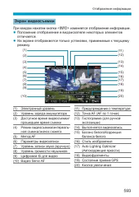 Страница 593