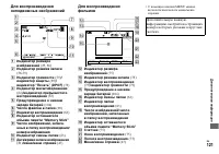 Страница 121
