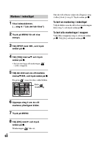 Страница 166