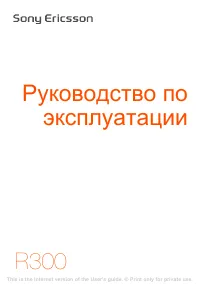 Sony Ericsson R300