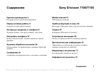 Sony Ericsson T100_T105