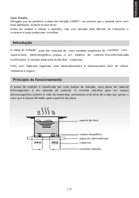Страница 117