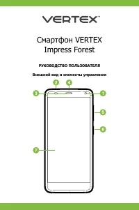 Vertex Impress Forest