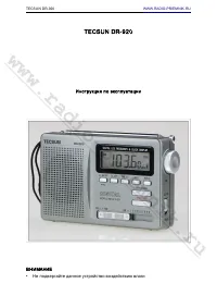 Tecsun DR-920