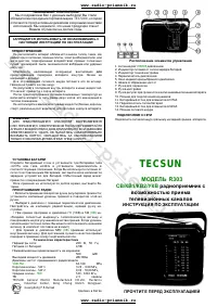 Tecsun R-303