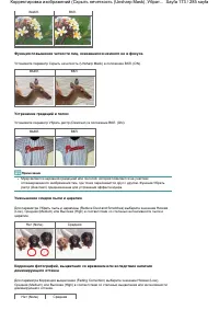 Страница 173