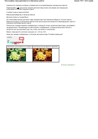 Страница 197