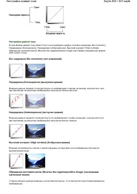 Страница 204