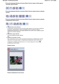 Страница 213