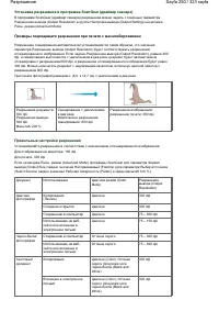 Страница 250