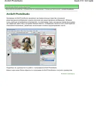 Страница 319