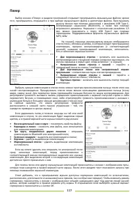 Страница 117