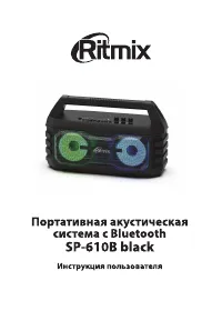 Ritmix SP-610B