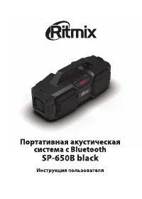 Ritmix SP-650B