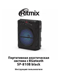 Ritmix SP-810B